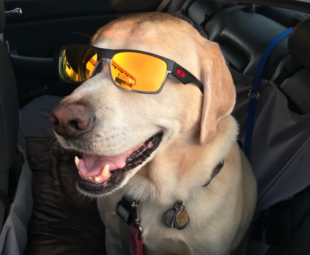 9C9827F7-91A5-4AA2-80DB-697876FDCDC4