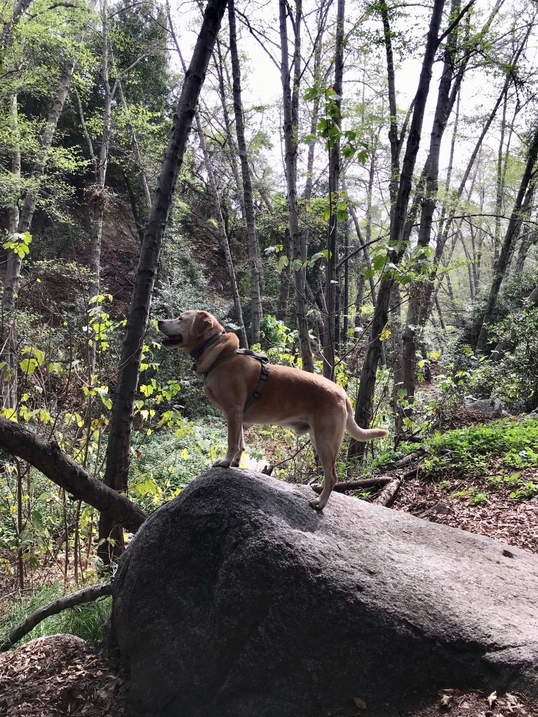 5C8CEA7D-FB97-4036-AF2A-6F7AACEC43B5