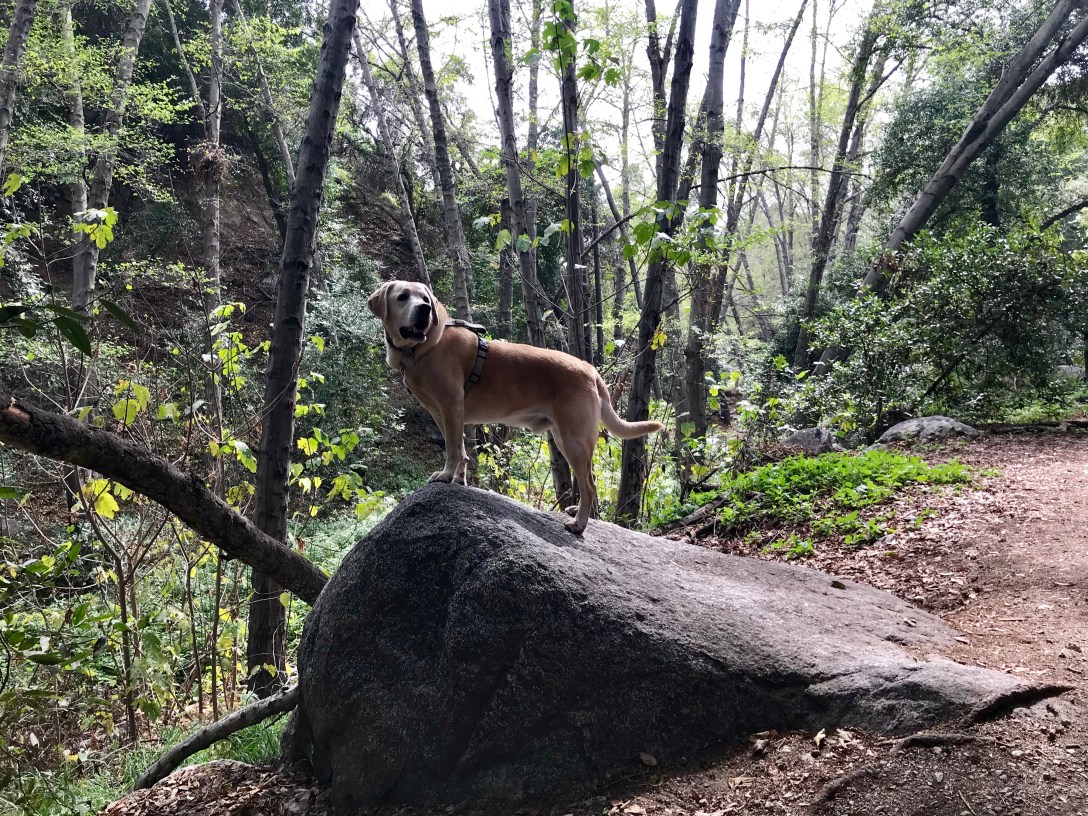 79319D00-2FD4-4487-B499-1B0B827BFF67