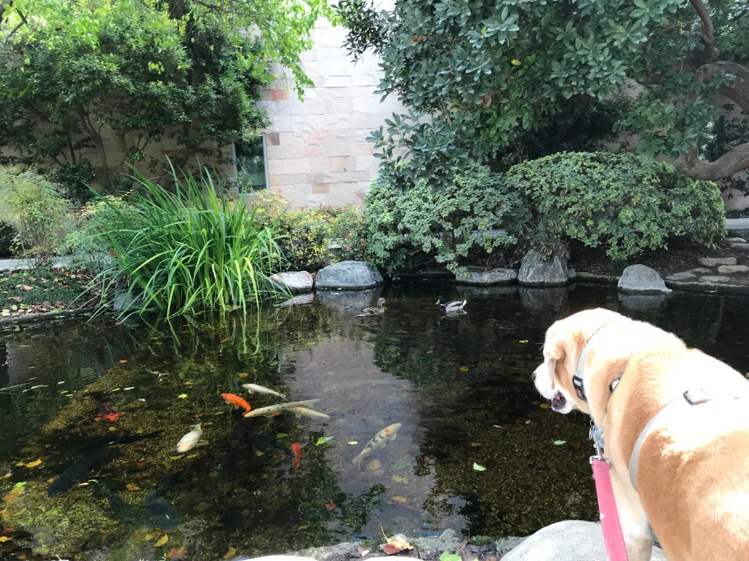 82993304-CEC3-460F-92C9-78E45B4AC4CE