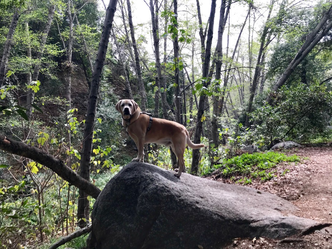 A2C02468-3C28-48AA-BA0B-E4A2A3BFDC94