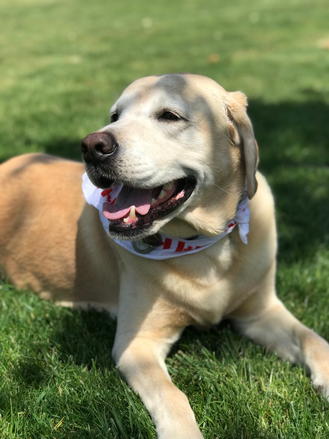 E6E16813-1011-4807-A585-524DAB6DE006