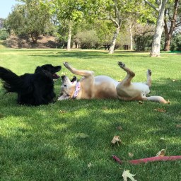 Moby’s Friend Visits from Arizona