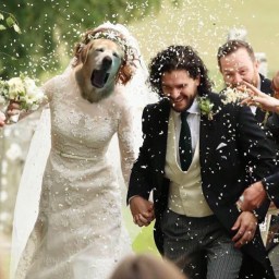 Congratulations, to the Kit-Moby newlyweds!