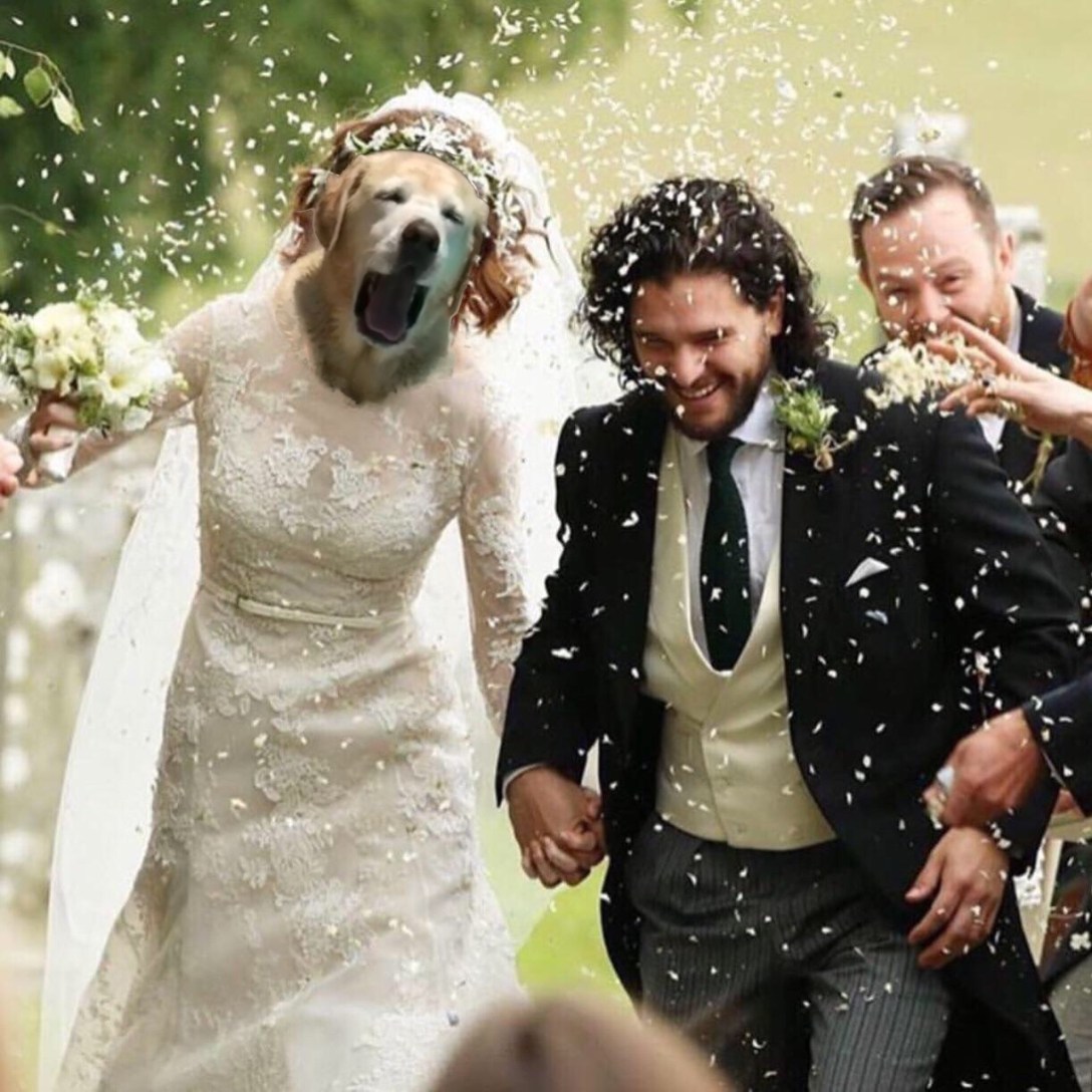 42FC7A95-4308-4AF9-BB31-C614A6CA095E