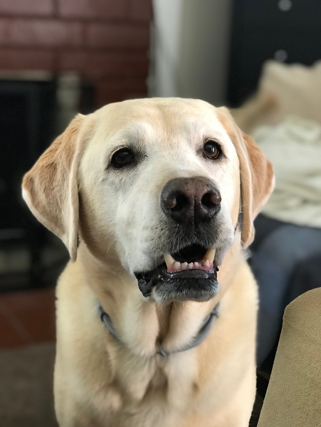 6C30E286-A6A9-42D8-B40F-3A8900693C10