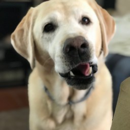 Discussing Summer Schedule with Moby