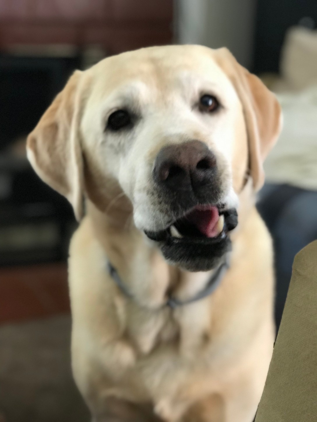 6FB9AB25-FEBD-4558-9CB4-E64A01DF2027