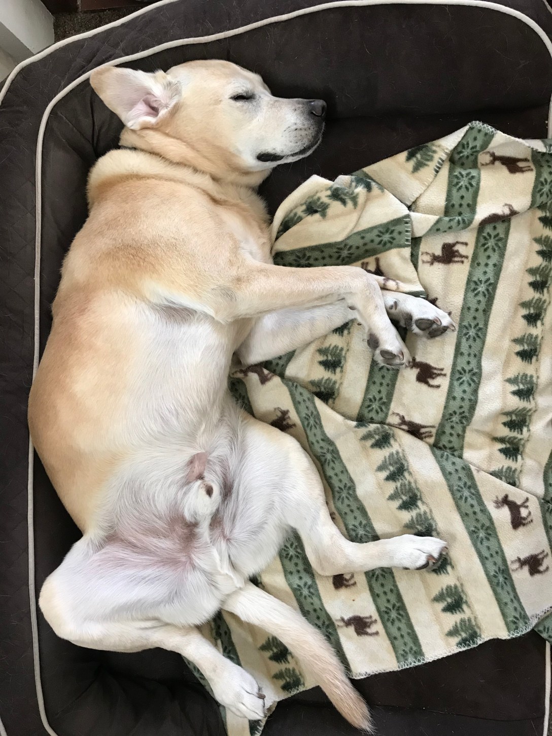 BCFD42C3-3196-423C-8FEE-09A415725155