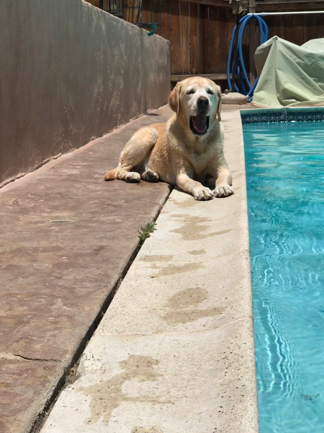 E2F25CCC-5A36-4241-8920-FF423FA6ED8A