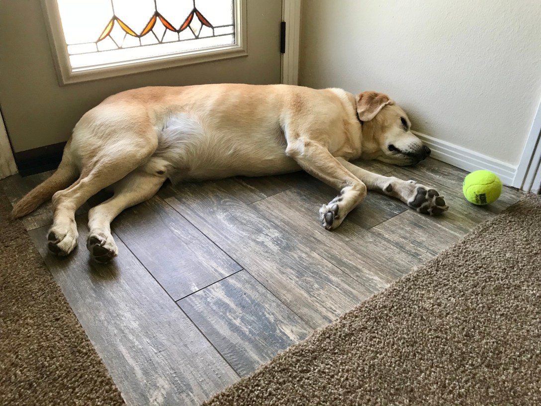 2E210A0E-3E03-4B92-8571-943799DDC381