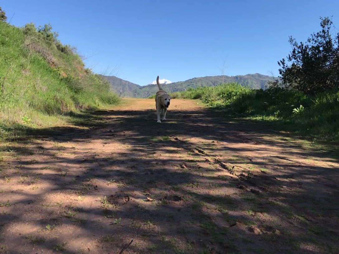 4C698B45-01AB-4610-B900-21ABAAC43AD8