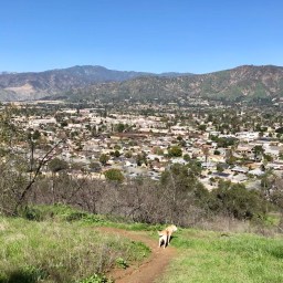 Another Day, Another Hike
