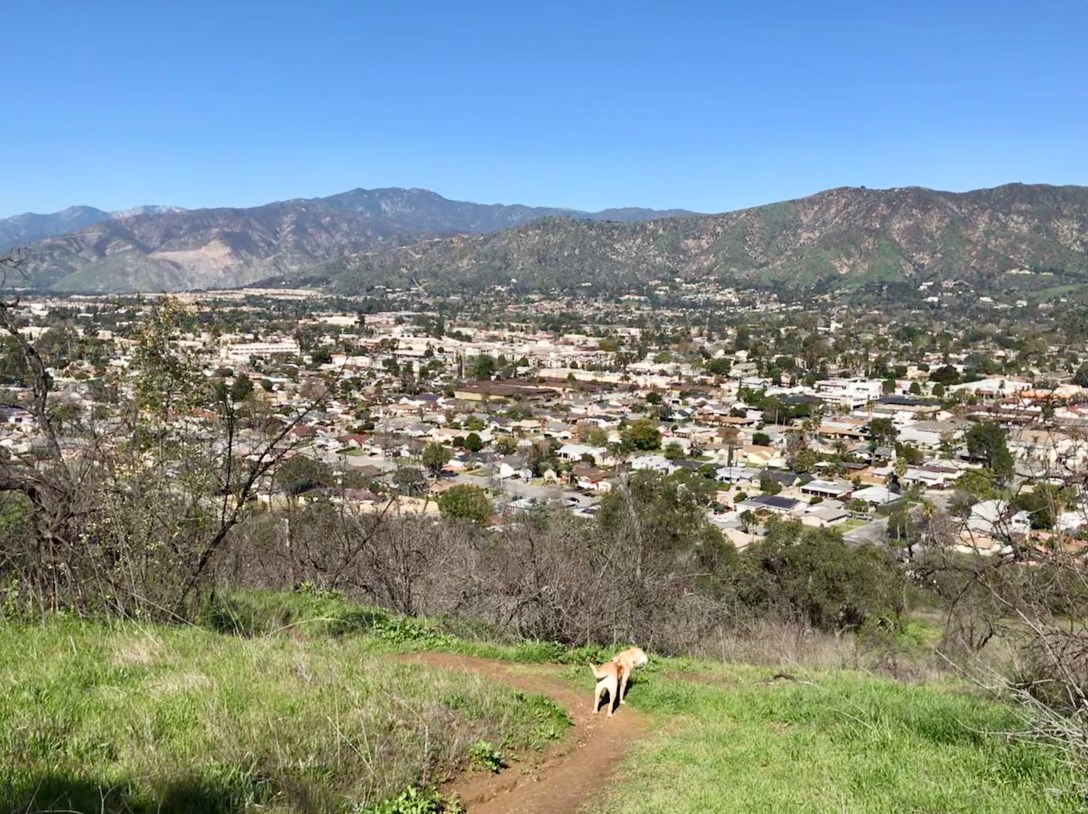 8CA85C7E-9267-4A3C-9BD8-22F87FA798E8