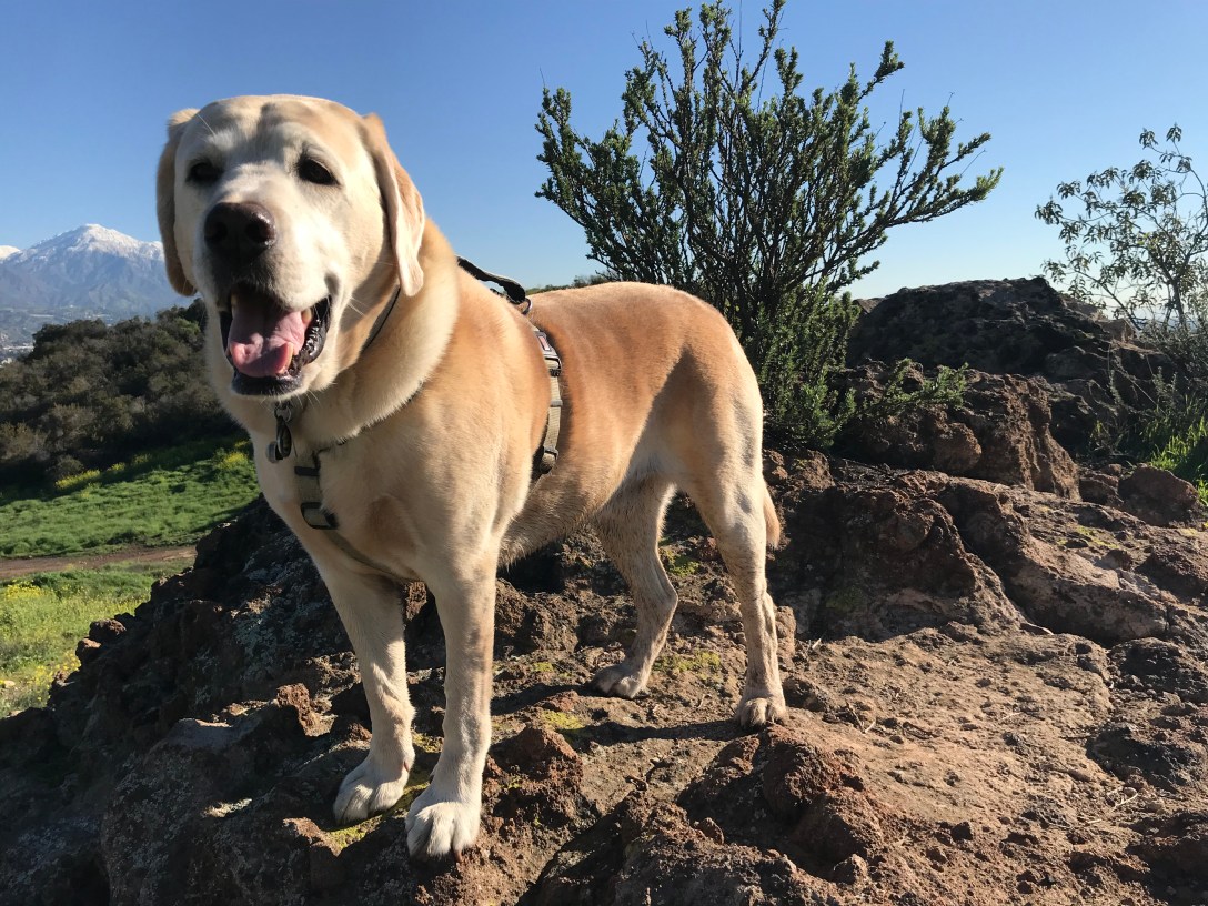 8CDFAEEB-BD27-4552-8F2E-C1CC5A7064CC