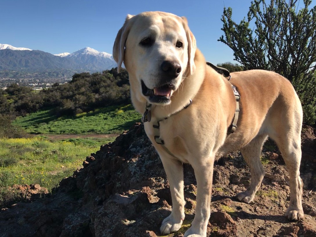 9E36C3B7-E2BB-4CF9-AE4C-962932C382EF