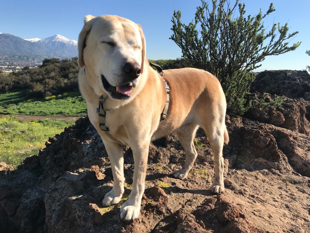 ED47F9F5-B862-4BF3-82FE-90622762F516