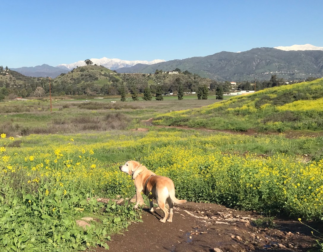 FAB70BDF-F3FF-41DE-B782-C1021CD06924