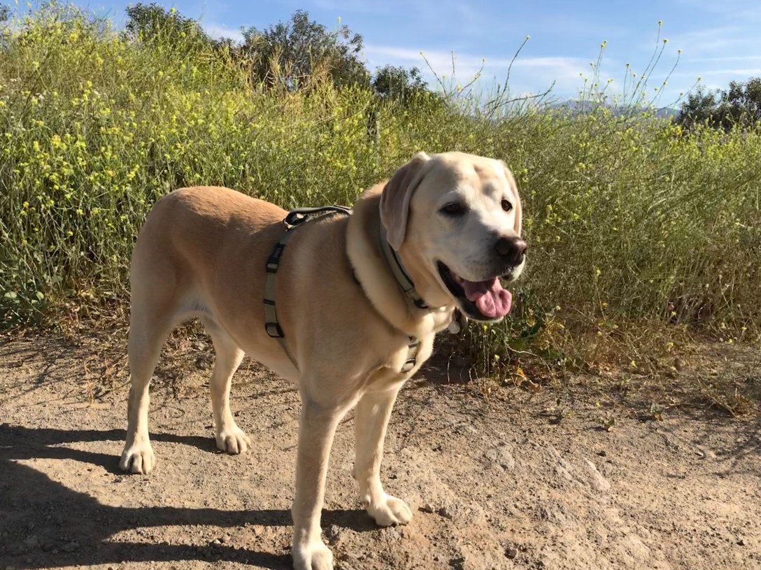 2DEB8AB8-66B0-4132-90C1-30B66D61D81B