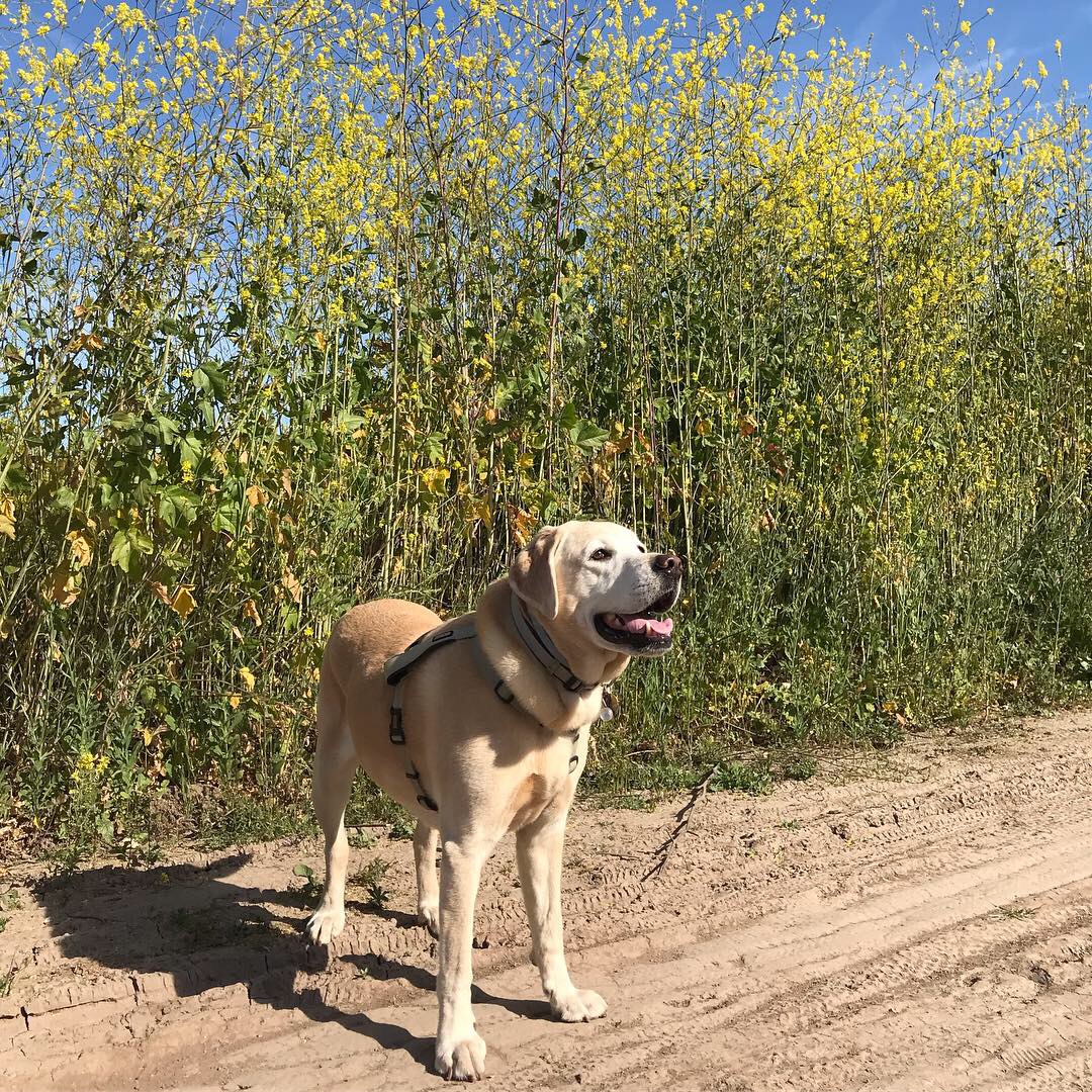 7D60D4E1-FDB4-44E0-8362-B0957FB70957