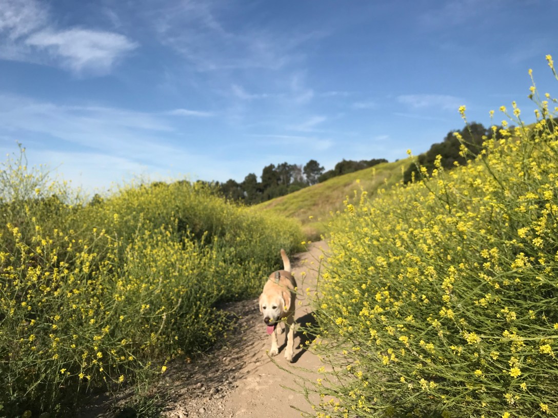 BF75B7A2-B6DD-4F90-9D42-1A22105043CD