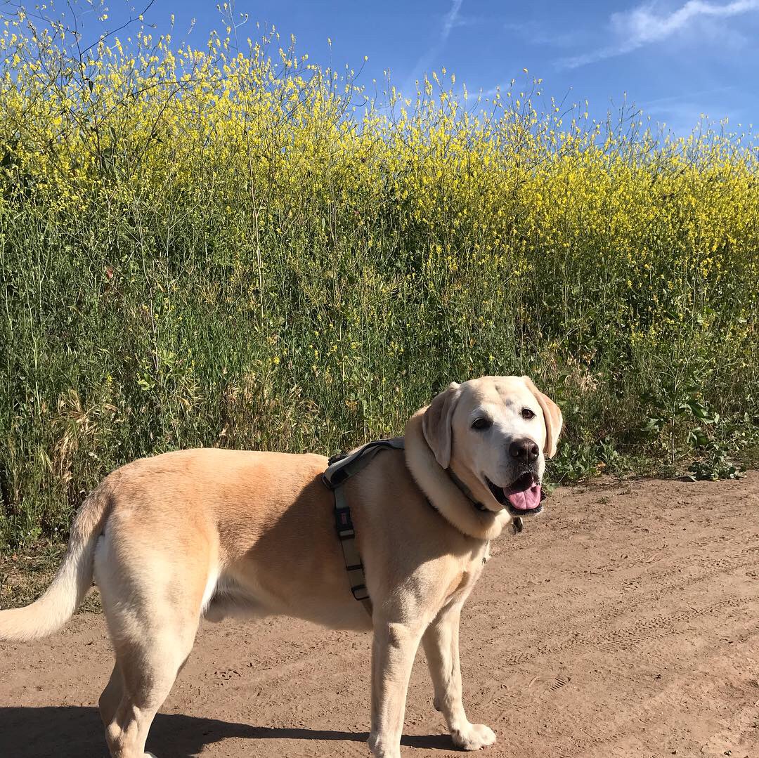 EBA898C1-1C8C-45CB-9007-54FBF1B357CC