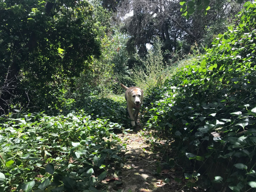 113F1DC7-F078-4D06-849A-4CFEEA20BA51