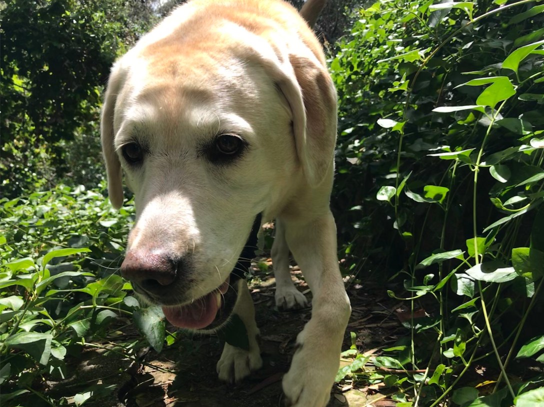 18C3FE7D-C59D-4FDA-97A5-3298D35302CF