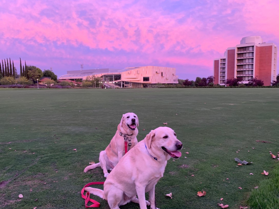 4DDEADD3-6A7D-43BE-952A-02CFE33E7E41