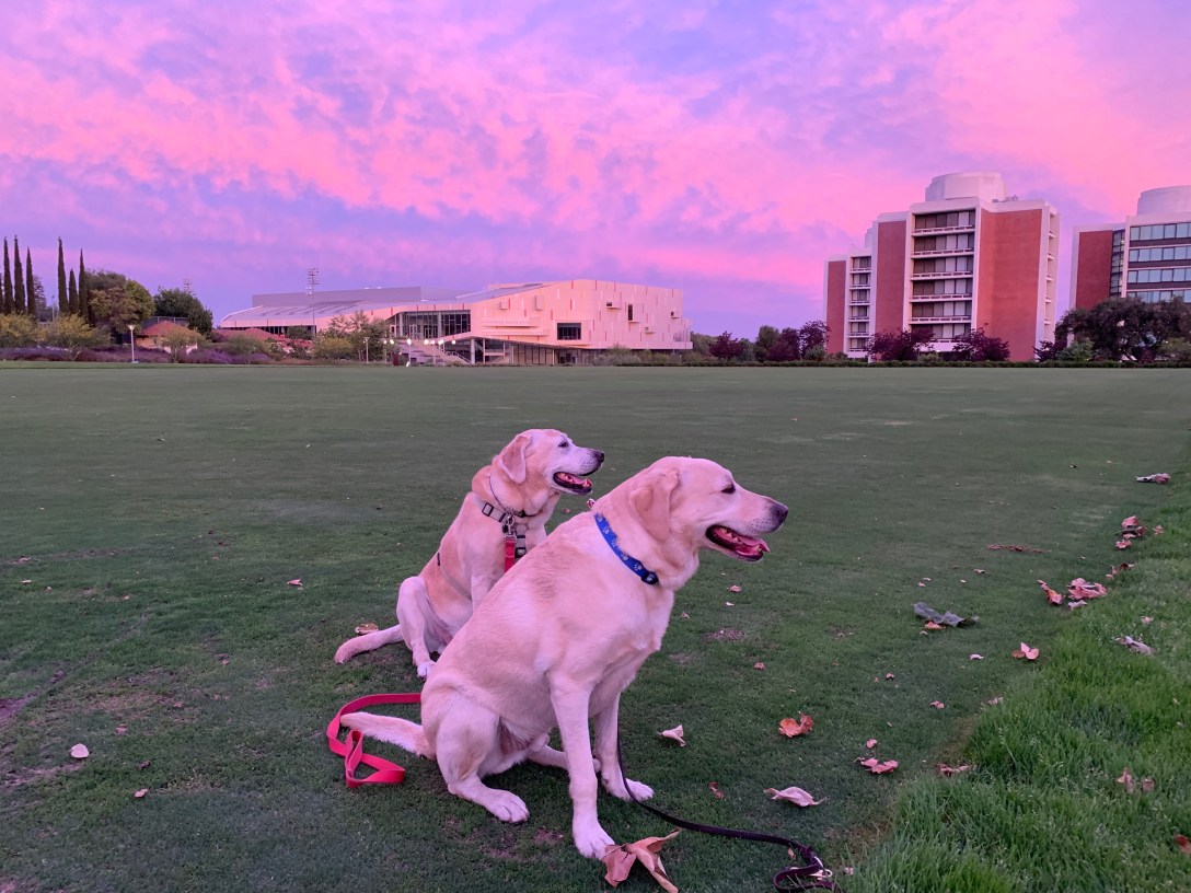 7642C890-8005-45DB-BD99-296825198451