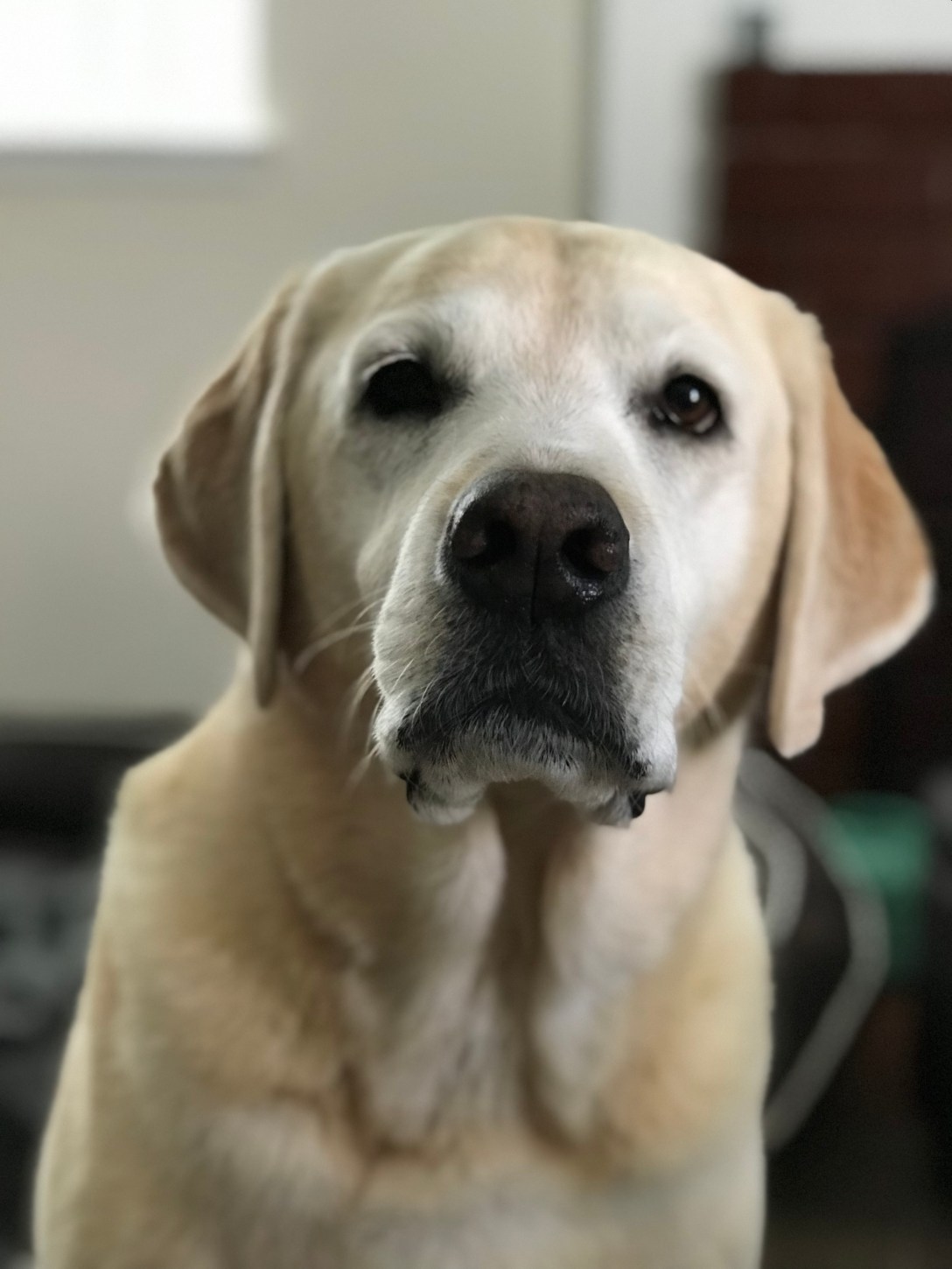 888EA160-F392-4F9B-AD56-CC3B1A0CB027