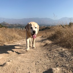 From Mountain to Bed