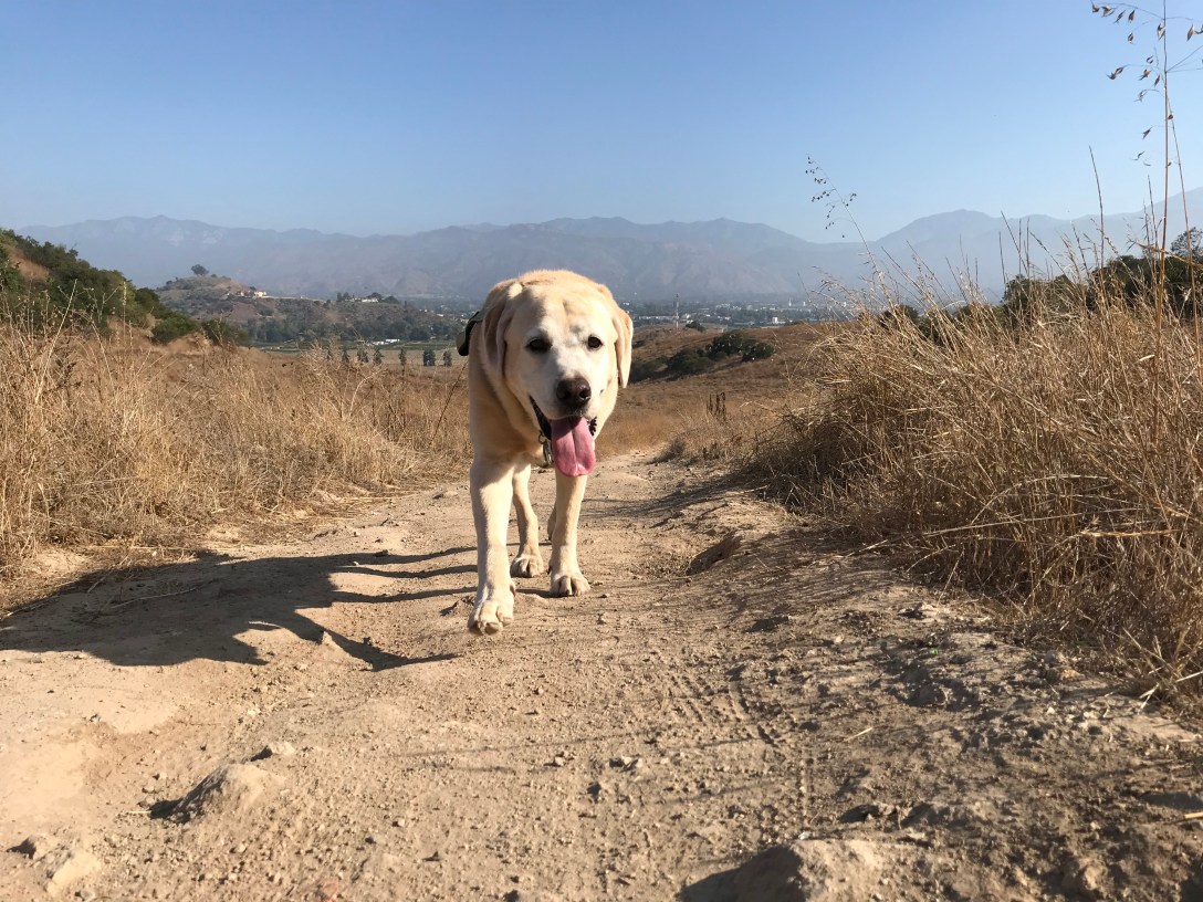 C7CF5F7C-0538-4206-A8A7-1B0AC82ACE2A