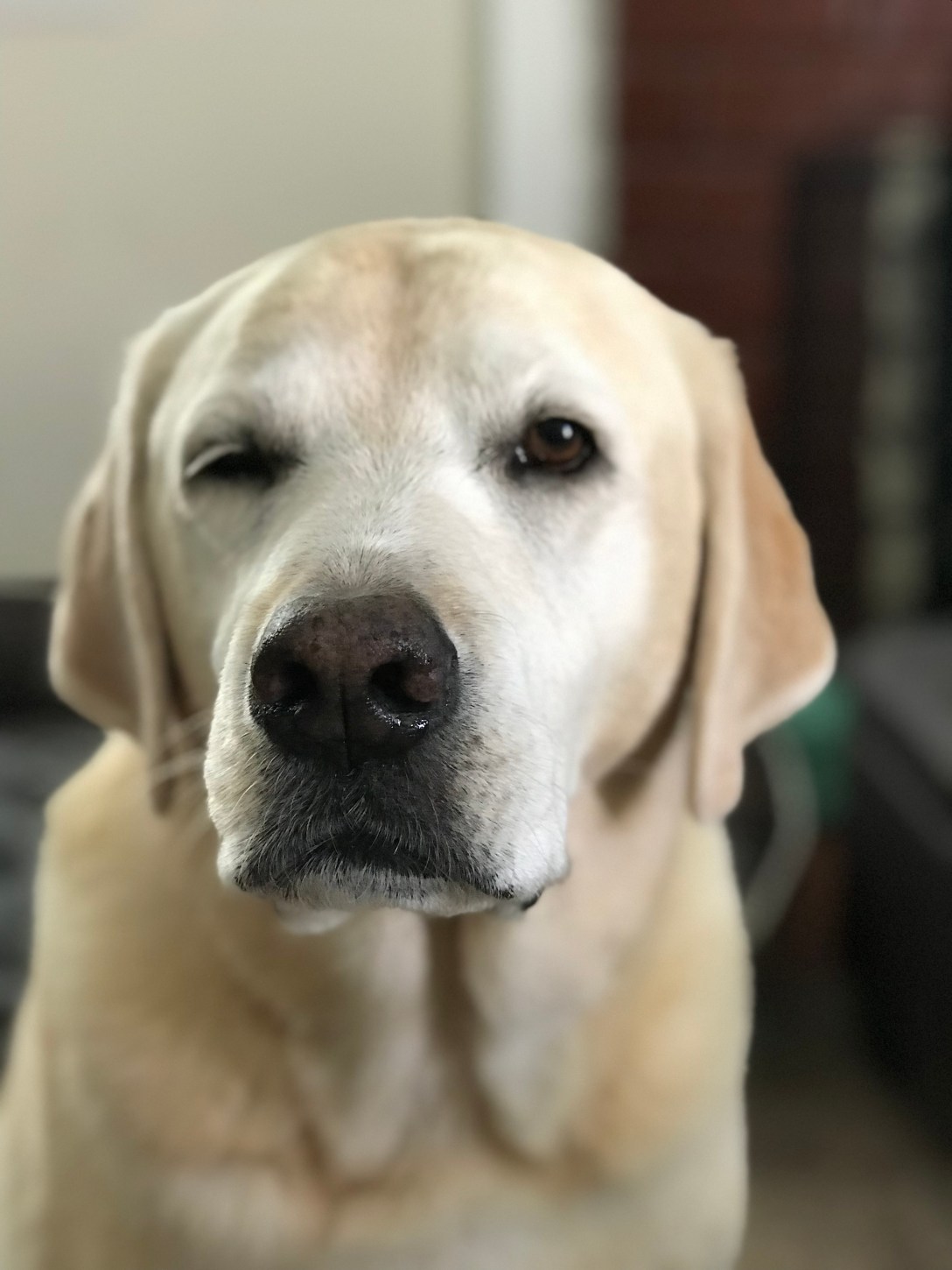 EC020DBD-3B06-4E8C-8979-A165B9D97171