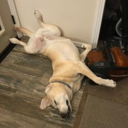 Moby Sleeping with Vacuum