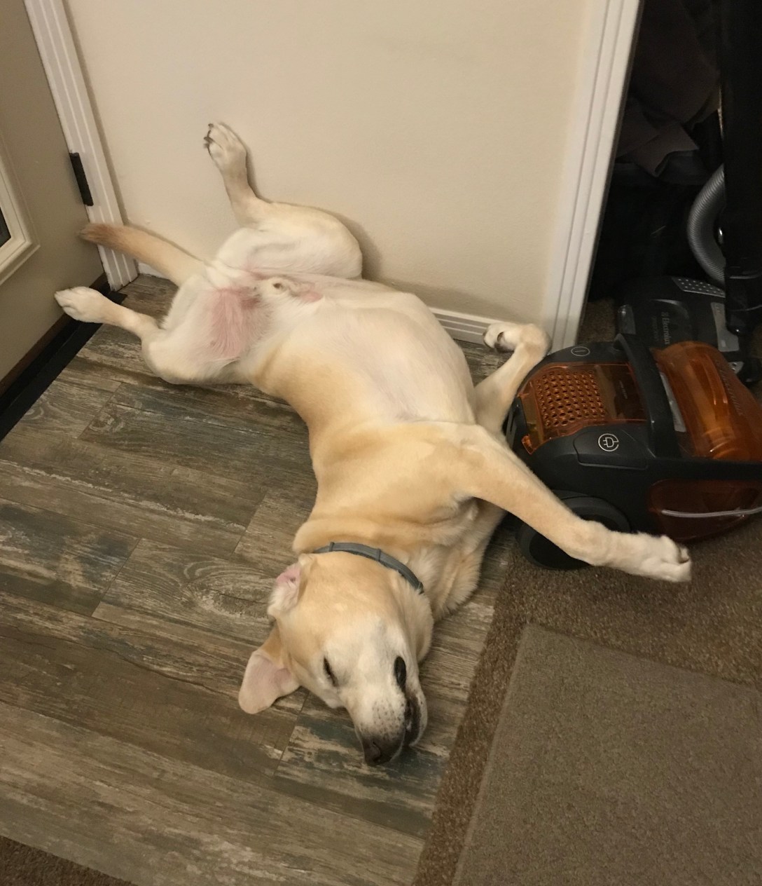 1A588675-6223-4C21-A6F6-D1367478C00D