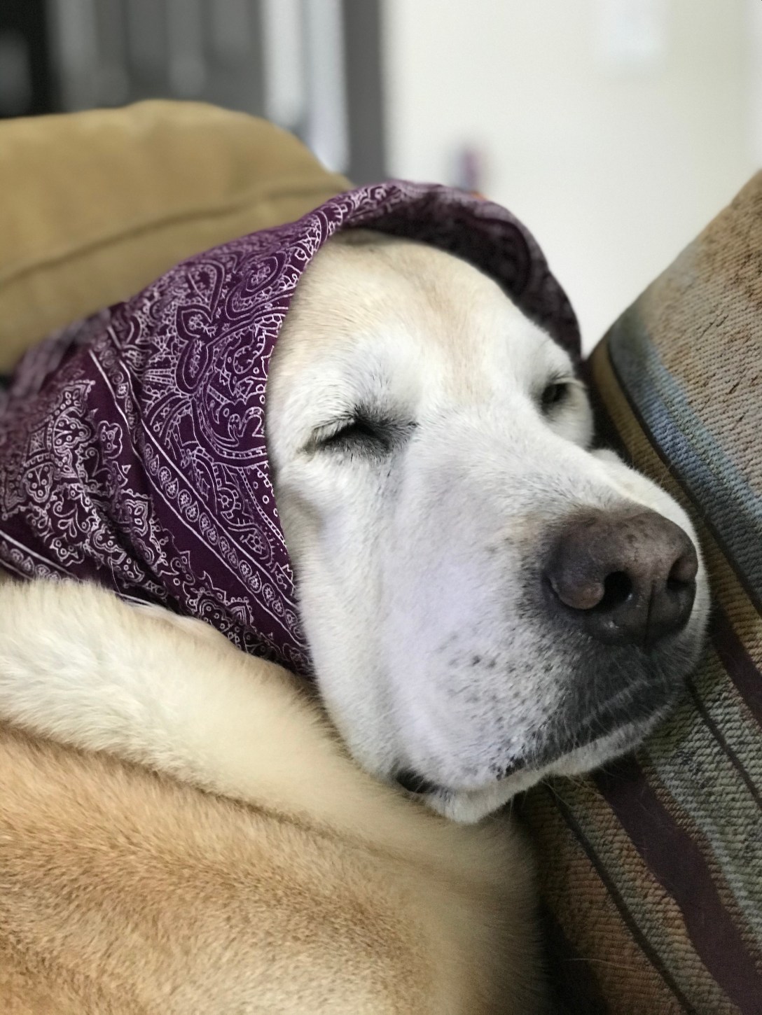 138E91DC-24AD-4433-975F-27D14F19B95D