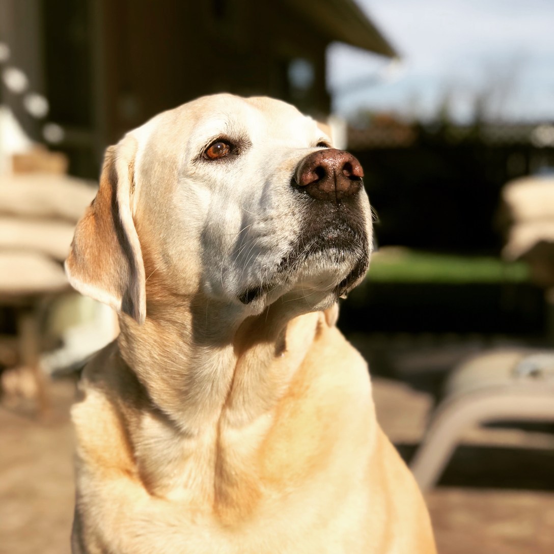 7A932590-D223-43E8-9938-7B5AF482C8DC