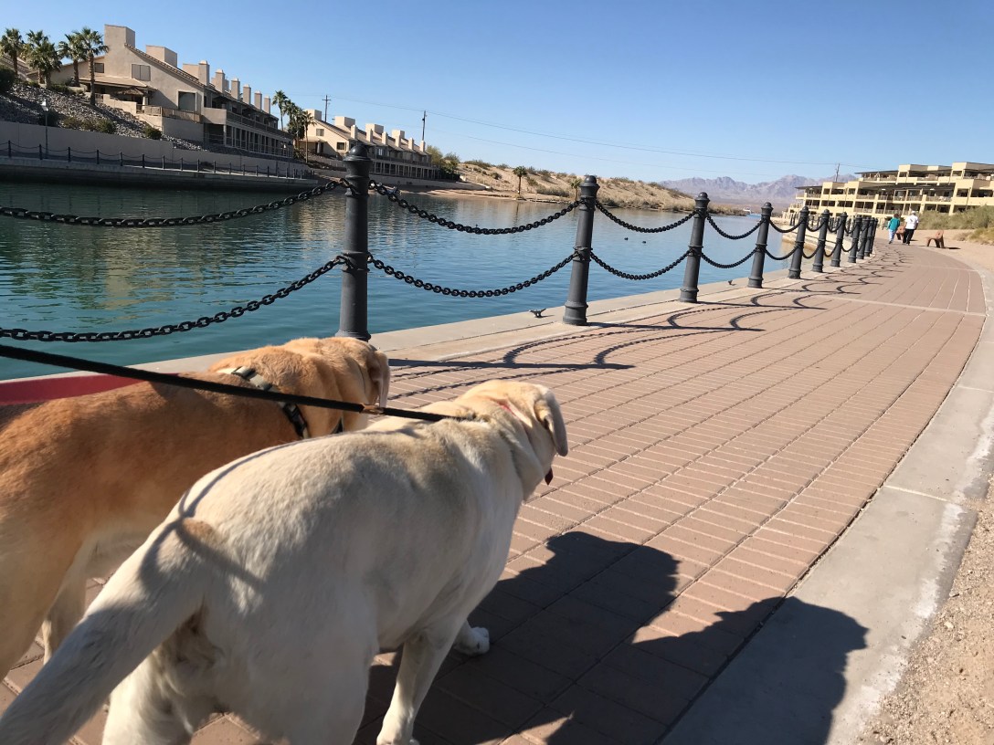 7AD74233-0B6B-4E09-B3D2-2EEF3C2B3E6E