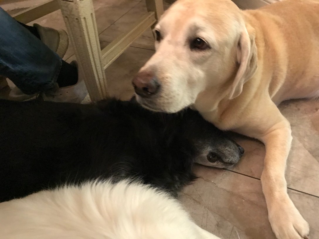 BD69FEB1-6F48-481B-BCAD-B875733E64E6