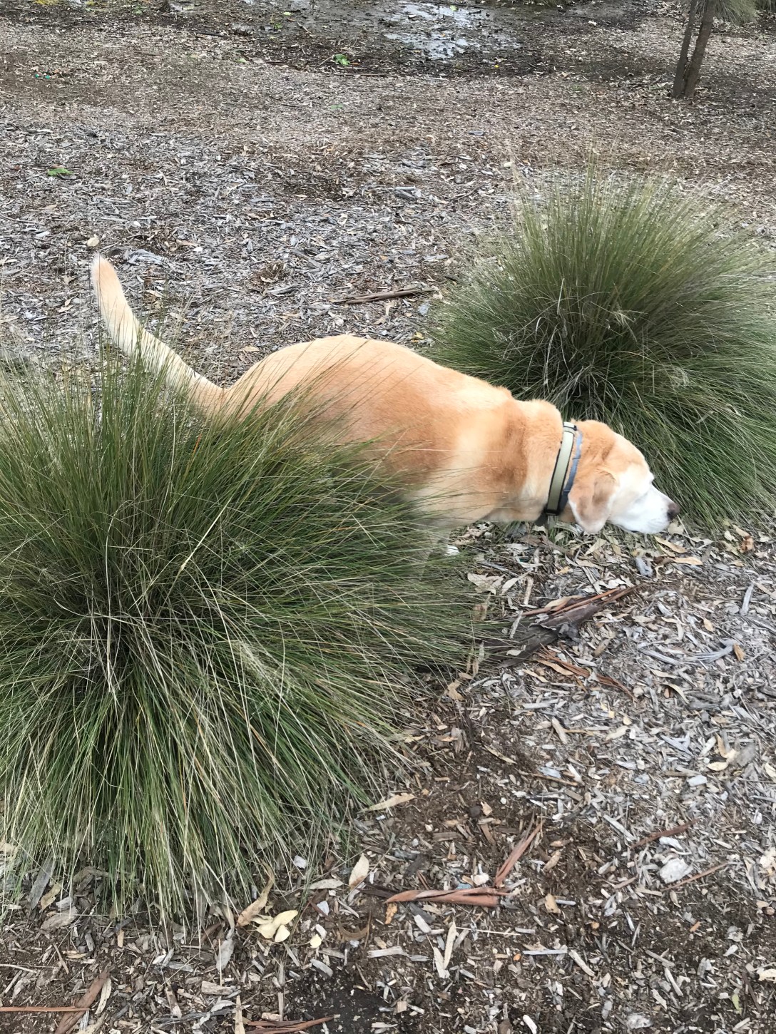 9270919B-8A5A-46C7-AF26-3B7B1BCA359B