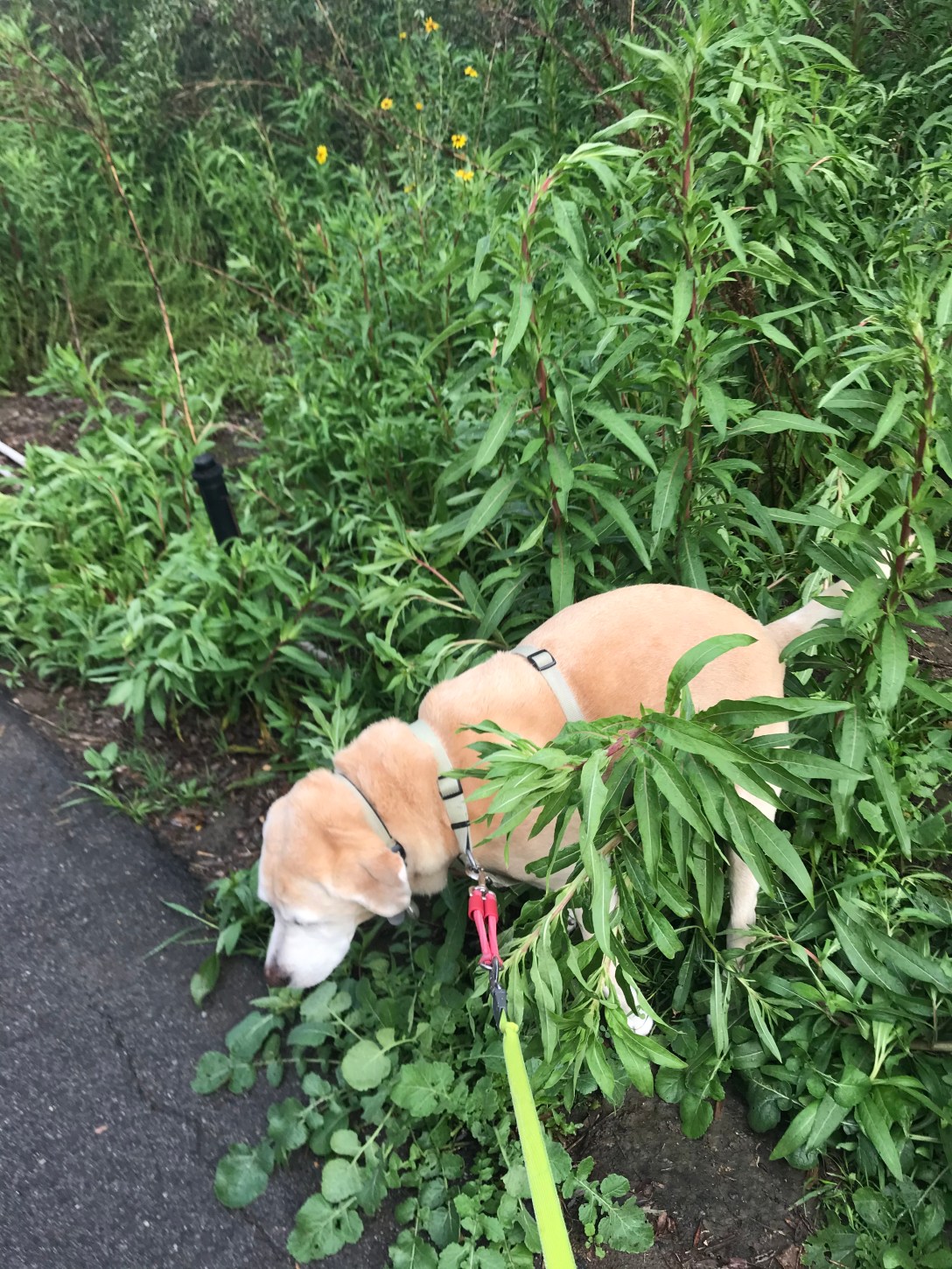 E6C0339B-B6E6-4945-B8EC-A2406F8D2DF7