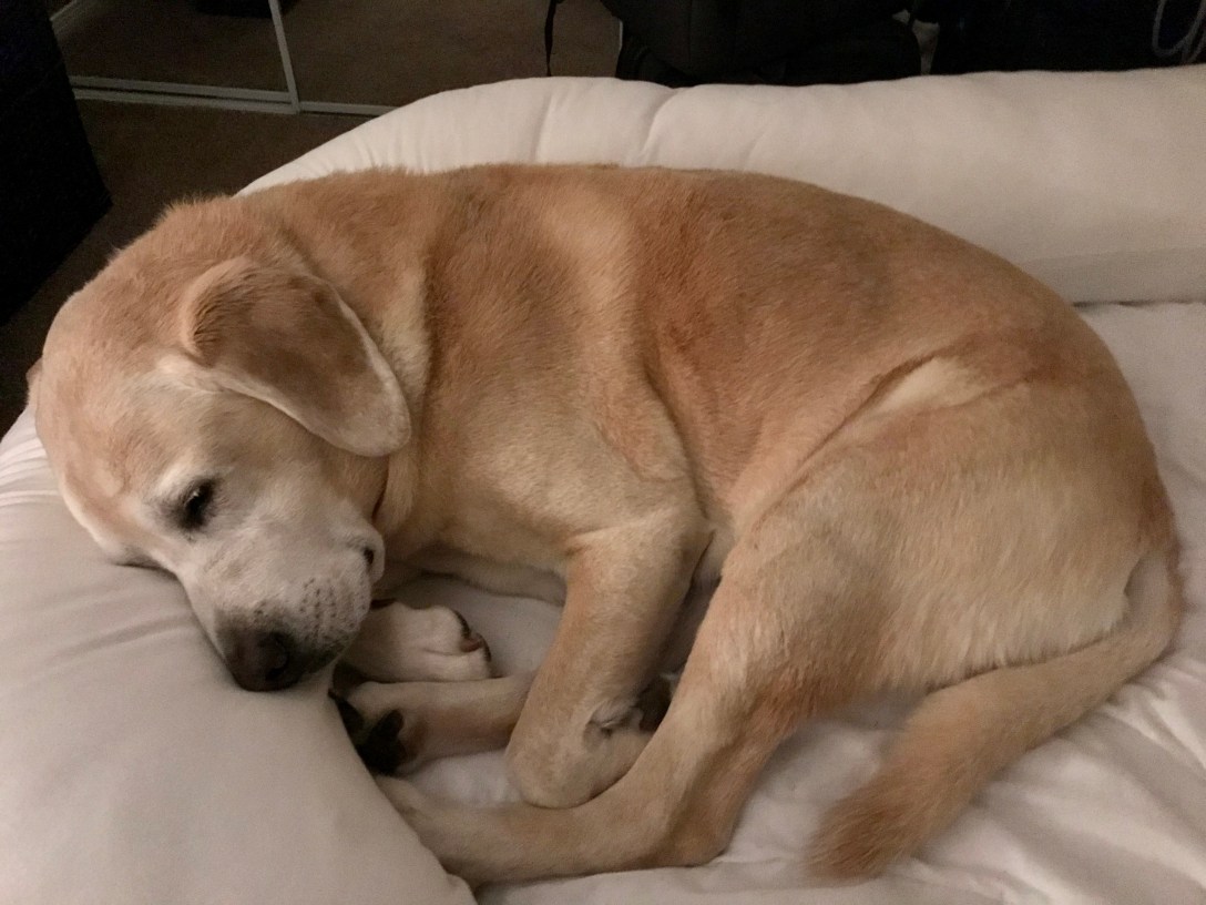 288C0F73-8F85-49C1-B320-1A6DA08E51BA