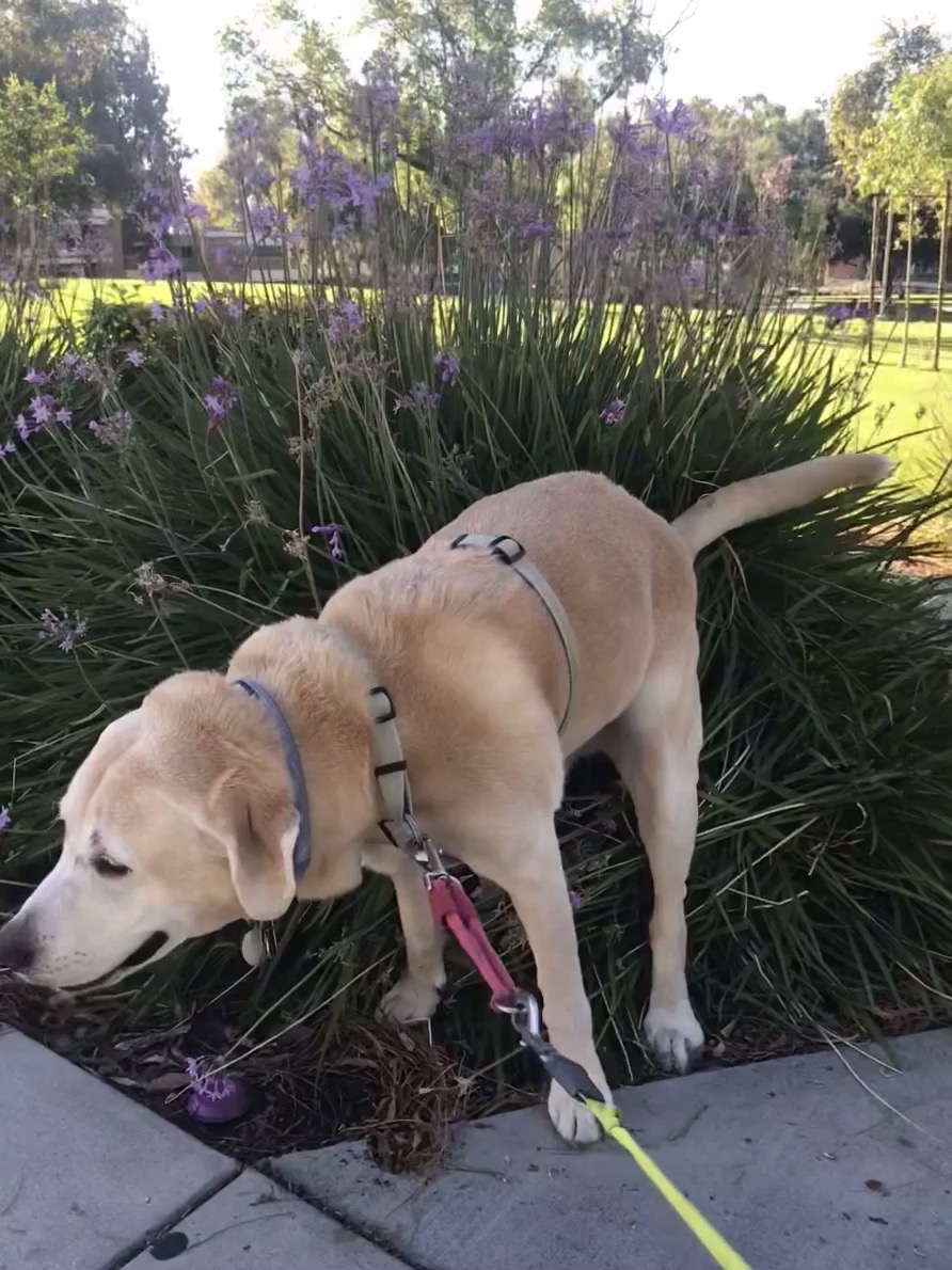 4BBE4FEB-6FE0-4BE7-A0C1-74530A59223F