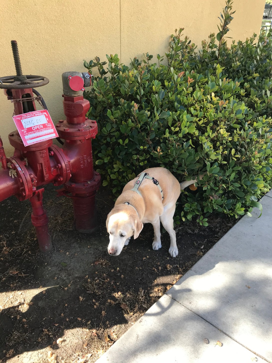 F536CFA8-434A-464D-B91C-662E5B753A59